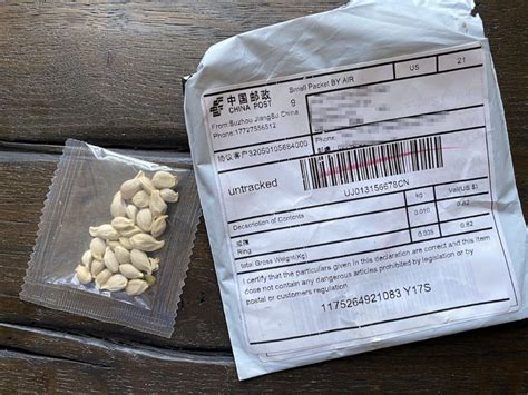 what are the seeds coming in the mail from china